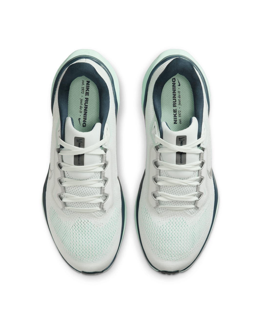 Nike Air Zoom Pegasus 41 pour femmes