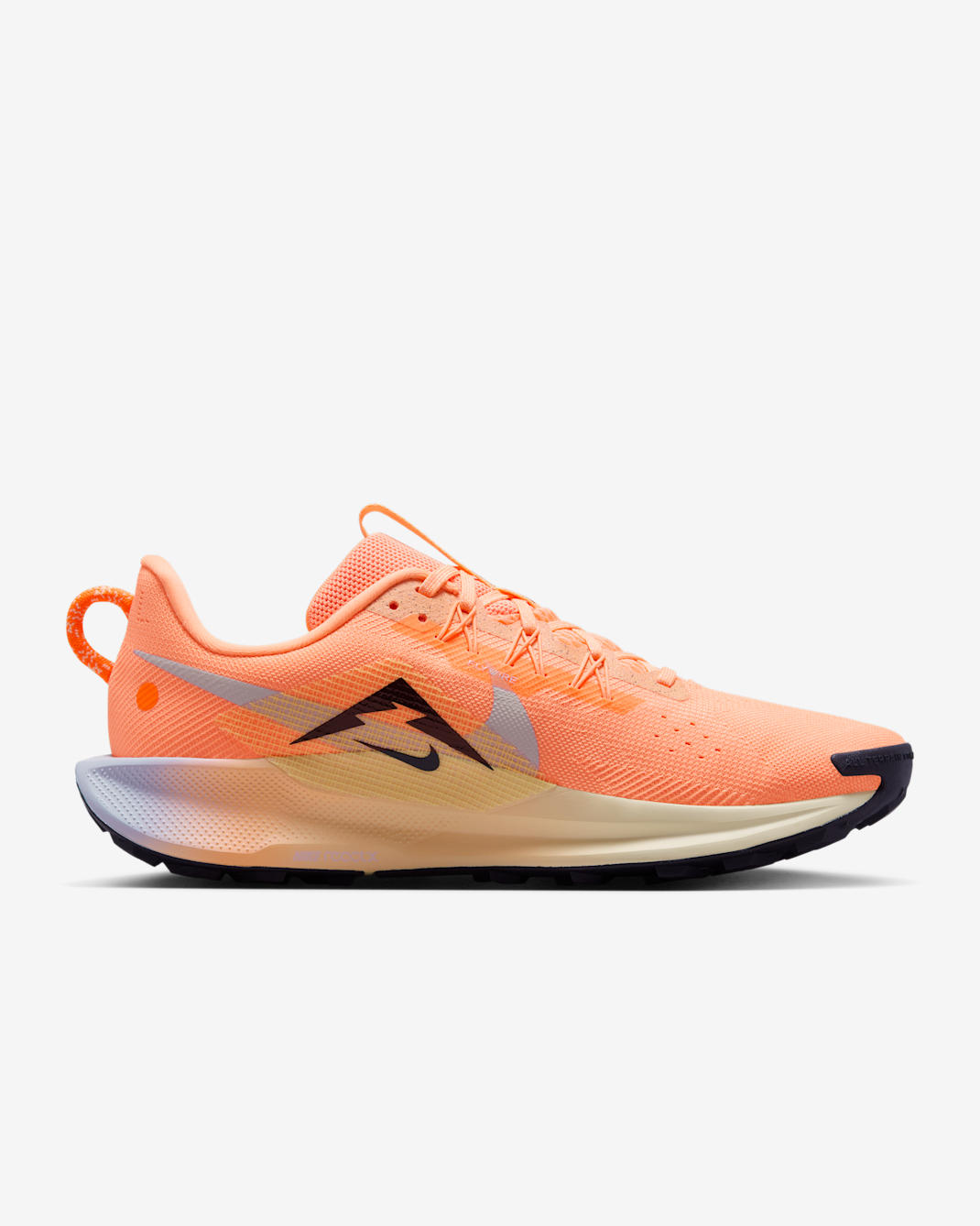 Sentier Nike Pegasus